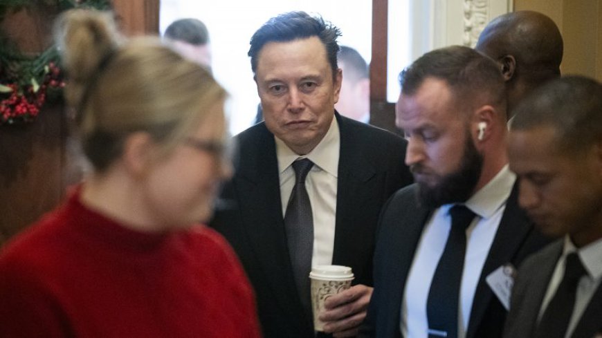 Musk writes op-ed backing far-right German political party