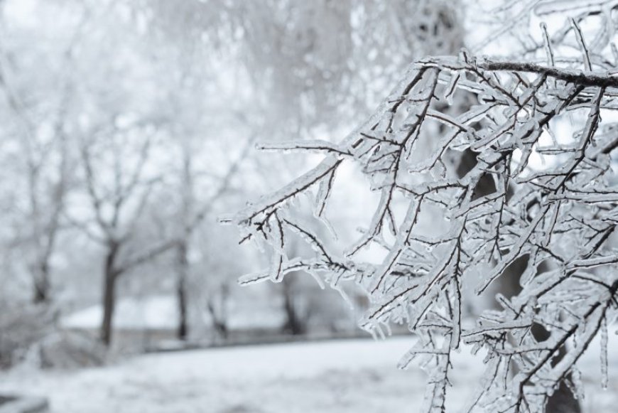 Midwest Snow Storm: A dangerous mix of snow, sleet, & freezing rain