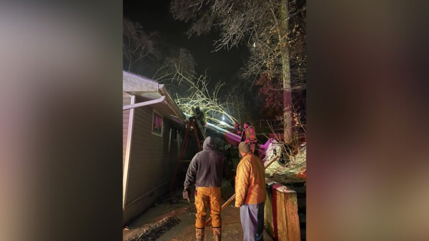 Tree falls onto home in Phelps County