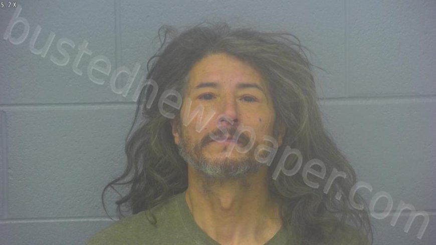 Garger, Aaron Michael Mugshot | 2025-01-09 19:11:00 Greene County, Missouri Arrest