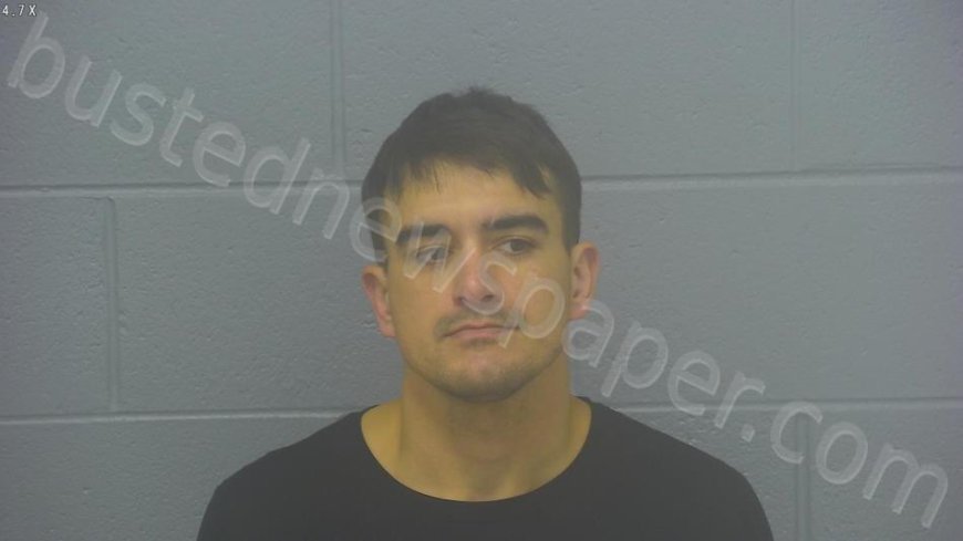 Anson, Travis Joe Mugshot | 2025-01-08 12:14:00 Greene County, Missouri Arrest