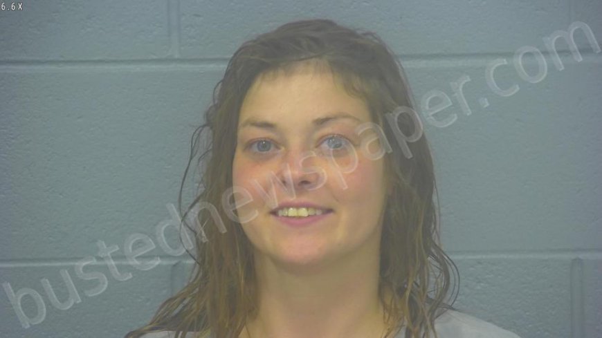 Johnson, Taylor Leigh-anne Mugshot | 2025-01-11 13:51:00 Greene County, Missouri Arrest