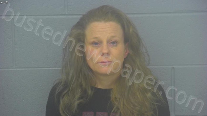 Brake, Sarah Rae Mugshot | 2025-01-15 23:20:00 Greene County, Missouri Arrest