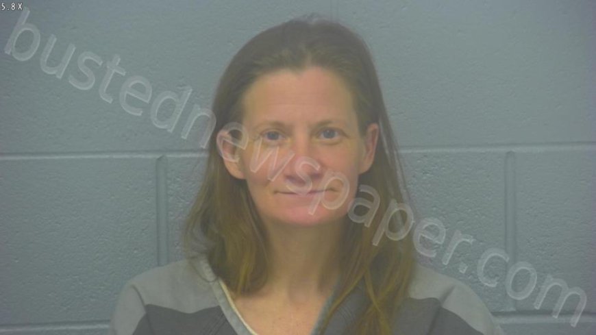 Hudson, April Dawn Mugshot | 2025-01-15 14:10:00 Greene County, Missouri Arrest