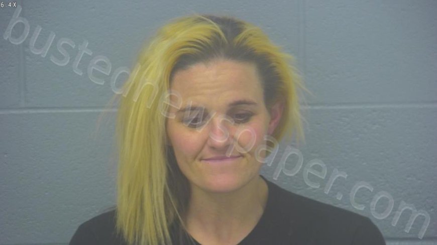 Shelton, Andrea Lee Jean Mugshot | 2025-01-15 09:14:00 Greene County, Missouri Arrest