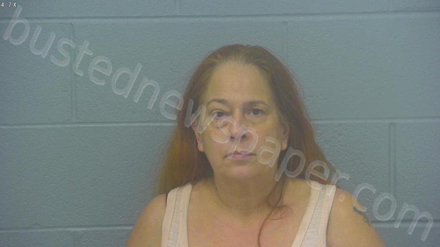 Davis, Lisa Kawwin Mugshot | 2025-01-14 19:03:00 Greene County, Missouri Arrest